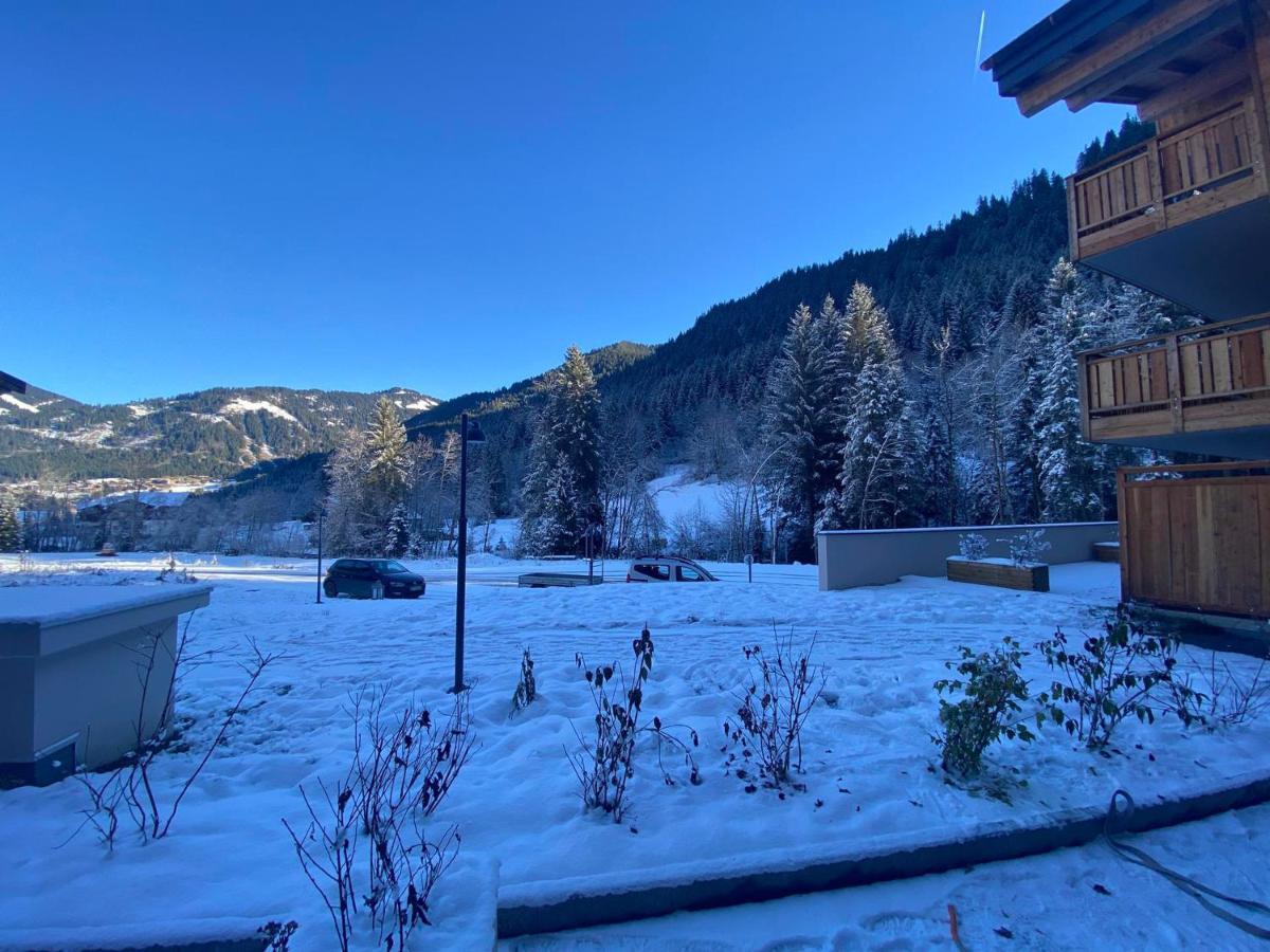 Lumineux Et Spacieux Appartement Contemporain Dans Une Residence Recente Et Paisible A Chatel - Fr-1-693-48 Luaran gambar